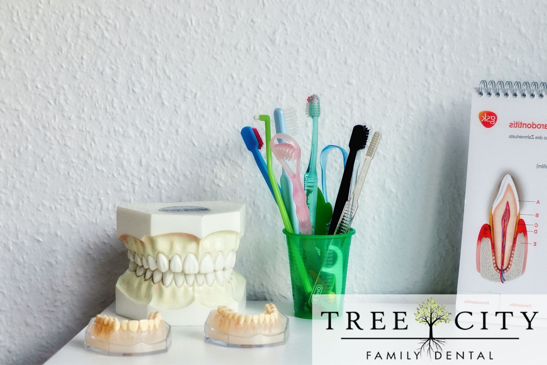 A cup with toothbrushes and tongue scrapers on a counter with three models of mouths to the right and part of a digram to the left.